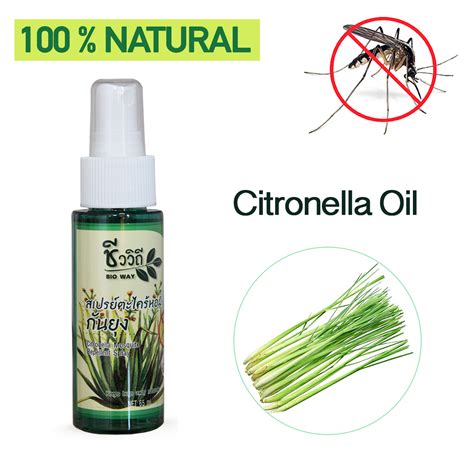 druid citronella insect repellent|Citronella Oil .